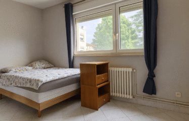 Appartement | Thionville (57100)