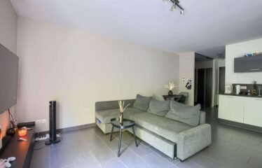 Appartement | Audun-le-Tiche (57390)