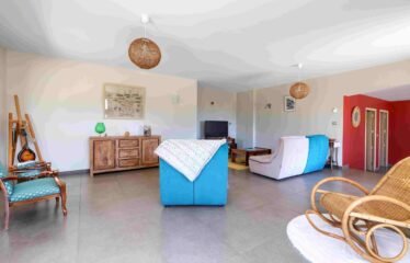 Maison | Langeac (43300)