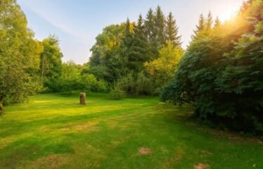 Maison | Longwy (54400)