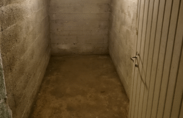 Appartement | Thionville (57100)