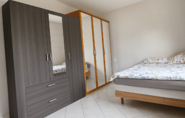 Appartement | Thionville (57100)